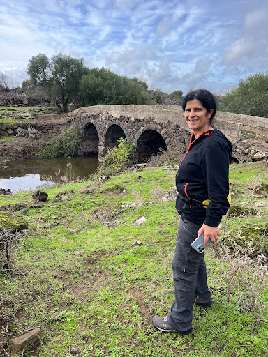Ponte Romano sul Rio Murtazzolu - Thumbnail