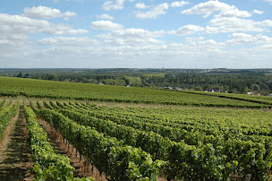Photo n°38 de Caves du Père Auguste à Civray-de-Touraine (Établissement vinicole)