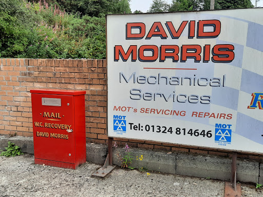 David Morris - Thumbnail