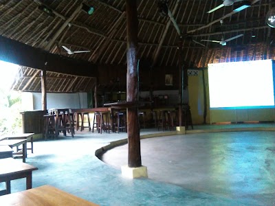Photos of Palmcity Pub & Grill