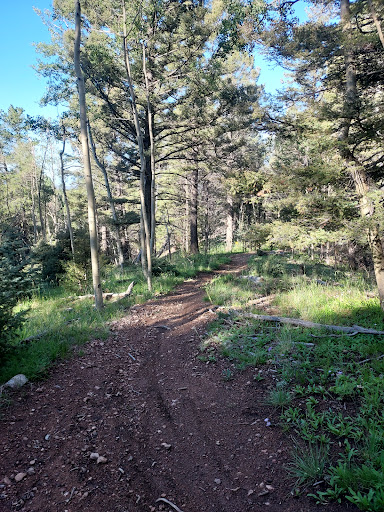 Santa Fe Mountain Bike Tours - Thumbnail