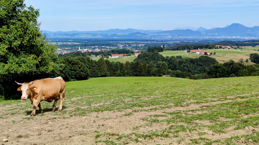 Rupertiblick - Thumbnail