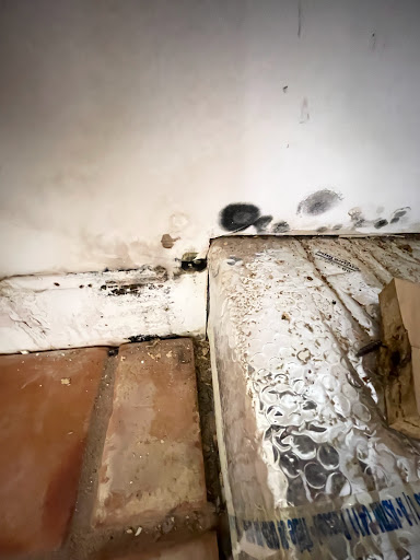 Water Tech Restoration and Mitigation Palm Desert - Thumbnail