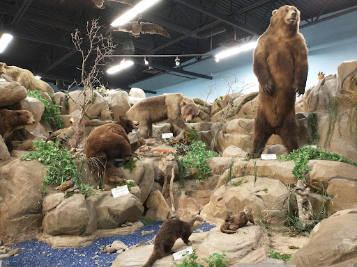 Rosenbruch World Wildlife Museum - Thumbnail