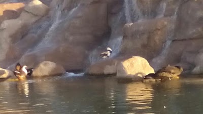 Photos of Hawary Shar Park
