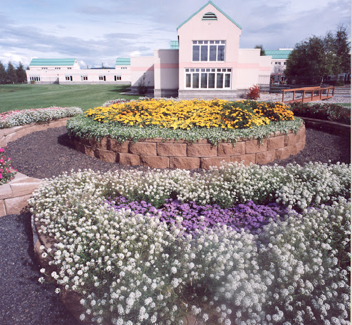 Denali Center - Visual