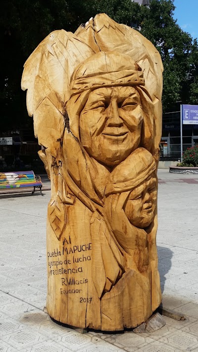 Photos of Municipality of Temuco