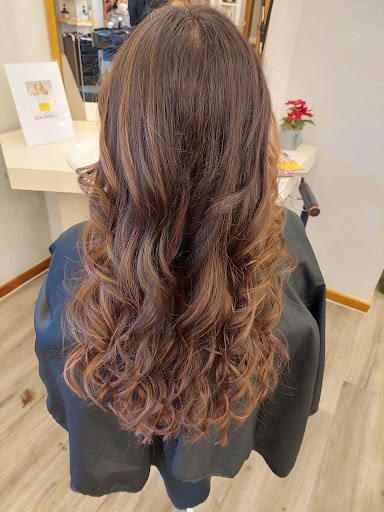 Salon Degener - Thumbnail