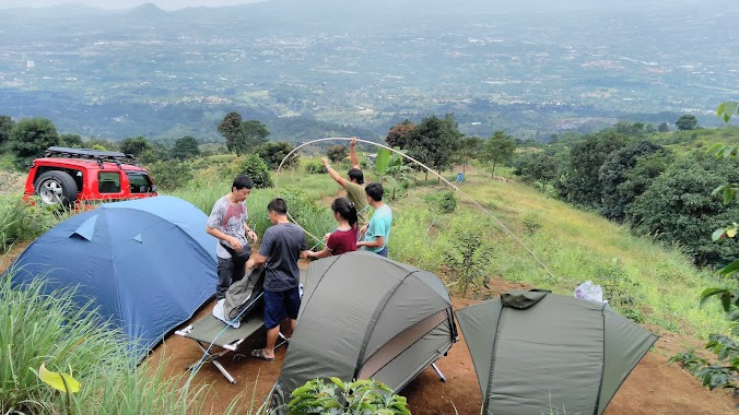 Pineapple Camping Farm, Author: Yans Wiraja