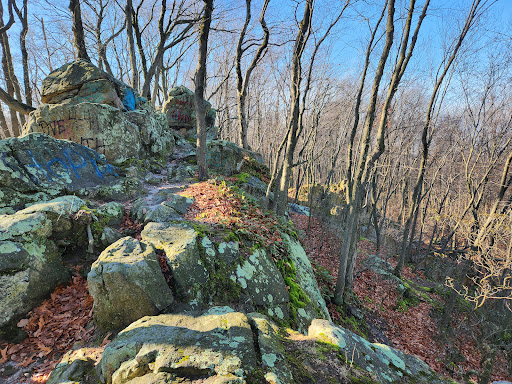 Money Rocks County Park - Thumbnail
