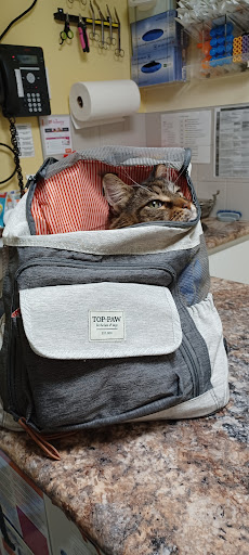 St. Clair Veterinary Facilities - Thumbnail
