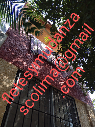 Fletes y mudanzas colima 312676719 - Thumbnail