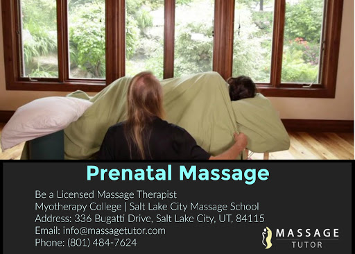 Massage Tutor - Visual