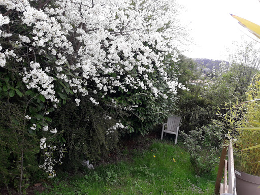 Auteuil Foundation, House Jean Marie Vianney - Thumbnail