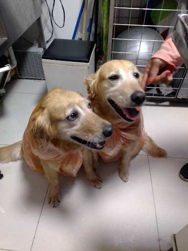 Servicios Veterinarios de Mexico