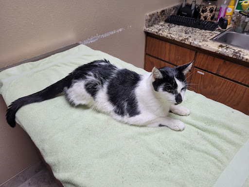 Wylie Veterinary Hospital - Thumbnail