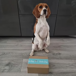 Sadie Dog
