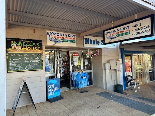 Exmouth Dive & Whaleshark Ningaloo - Thumbnail