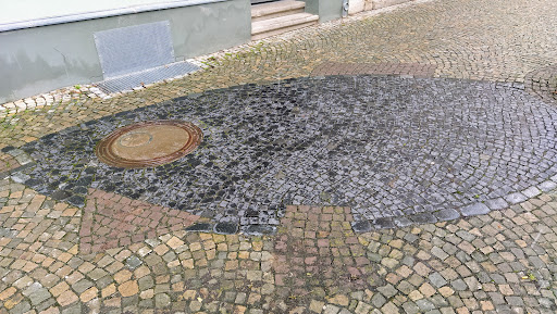 Pflasterfisch Fischstraße Naumburg - Thumbnail