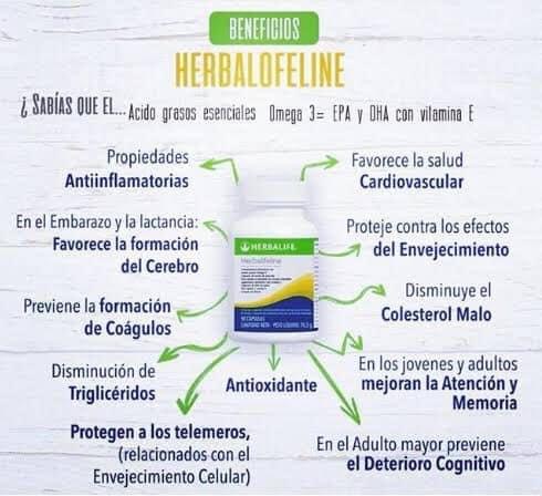 FIT Club Vida Saludable Huapinol - Thumbnail