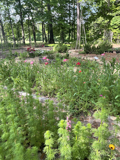 The Garden At Portridge
