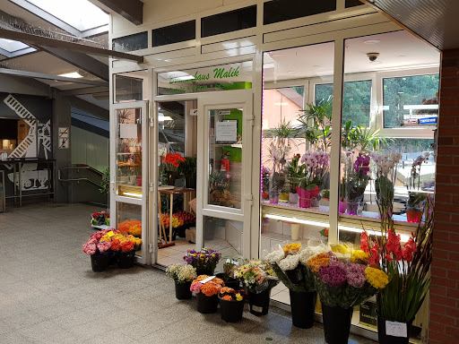 Blumenhaus Malik Langenhorn Markt