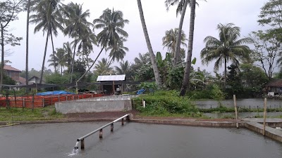Photos of Mekar Asih Catfish