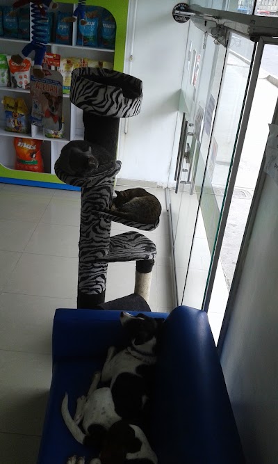 Photos of Hospital veterinario Praga