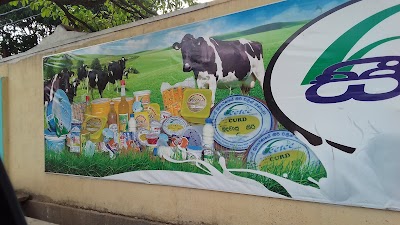 Photos of Ceetee Milk Bar