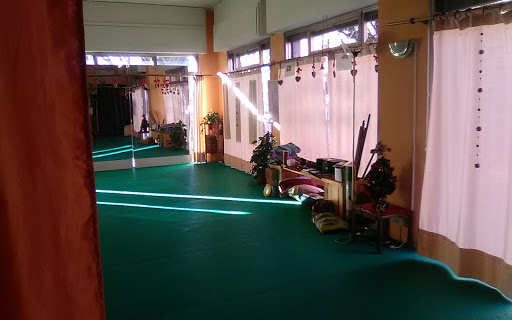Centro Arti Orientali Shiatsu Gallery - Italy