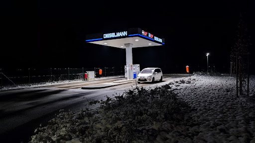 Dieselmann Gröden
