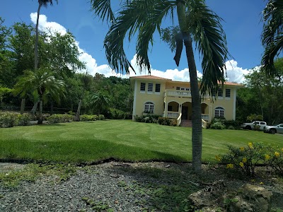 Photos of Tropical Trail Rides