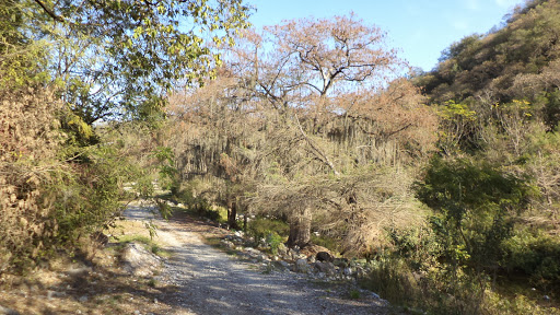 Agua termal El bañito Los Canelos - Thumbnail