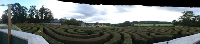 Longleat Hedge Maze