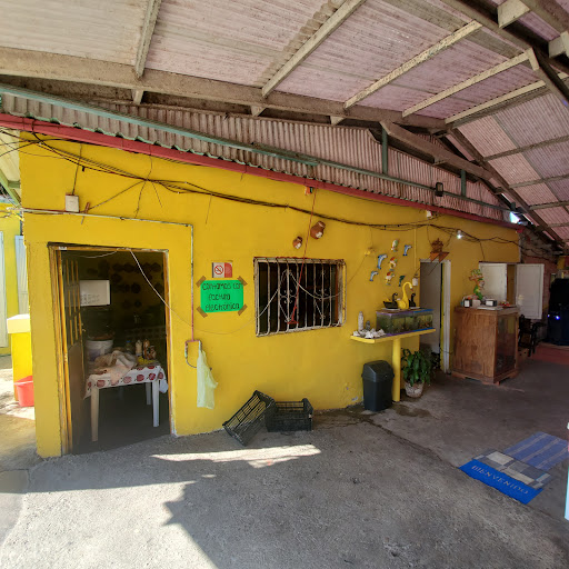 Restaurante El Manglar La Mancha