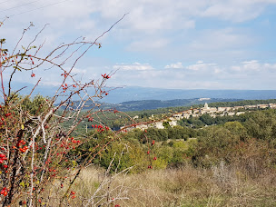Photo n°7 de Jeanne-Marie PASCAL à Venasque (Coach de vie)