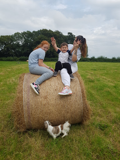 Vernons Camping Field Gallery - United Kingdom