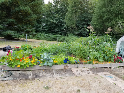 Raab Park Community P-Patch Garden - Thumbnail