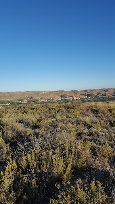 Photos of Bodegas Esteban Castej&oacute;n, S.L.