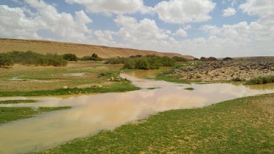 Photos of فندق الزيتونة
