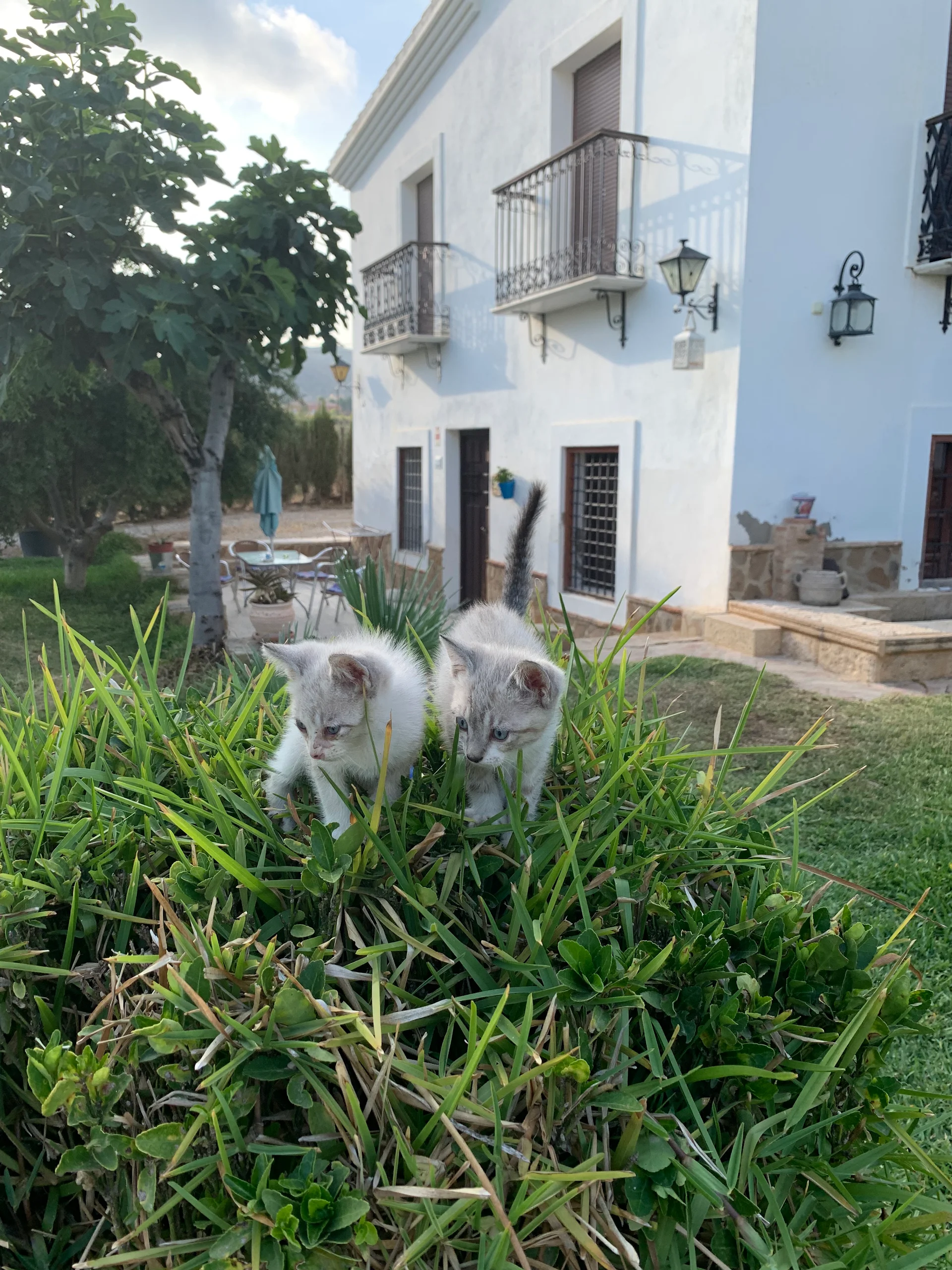 CORTIJO DE DON VICTOR