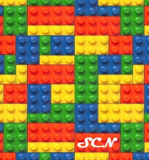 SCN BRICK's - Visual