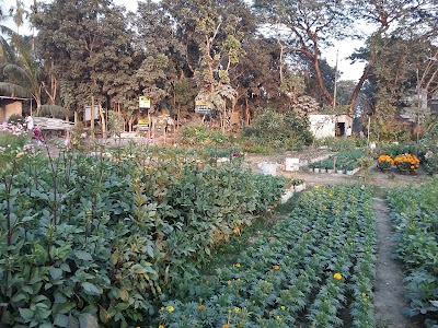 Photos of Ratna Nursery