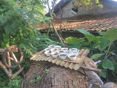 Photos of Wira Multi Agung