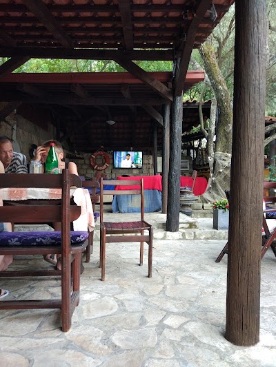 Photos of Camping Mimoza