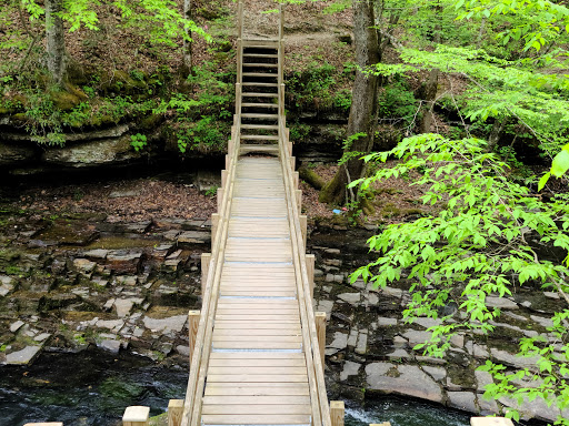 Short Springs Natural Area - Thumbnail