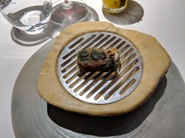 FOgO