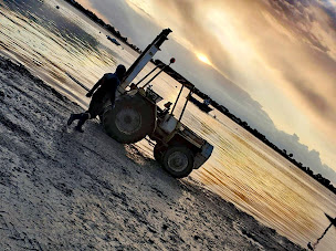 Photo n°7 de Jonathan Alfonso - Ostréiculteur au Tour-du-Parc à Le Tour-du-Parc (Élevage de fruits de mer)