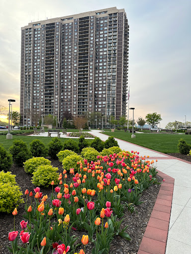Linda D. Rappaport - Akam Sales at North Shore Towers