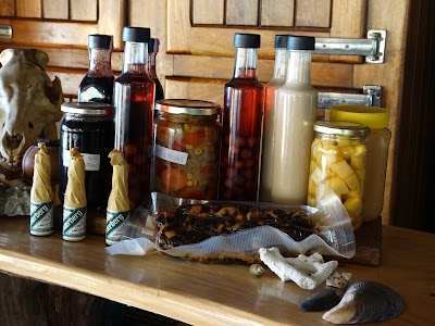 Photos of El Refugio